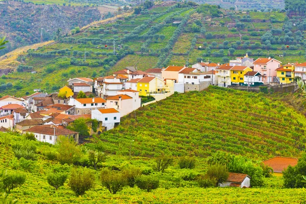 Village Surrounded by Vineyards — Stock Photo, Image