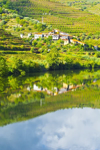 Banks of the River Douro — Stock Photo, Image