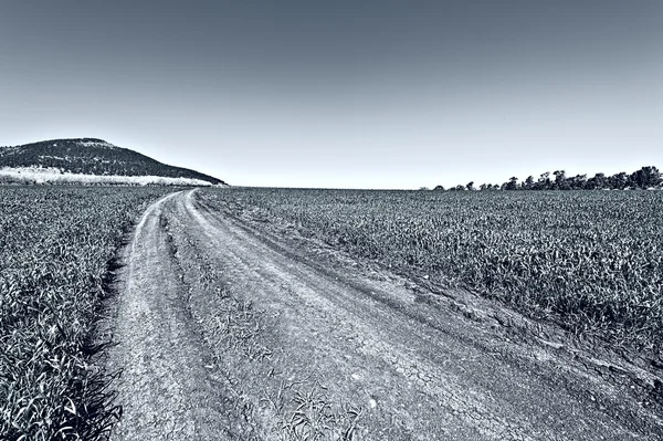 Berget Tabor i Israel — Stockfoto