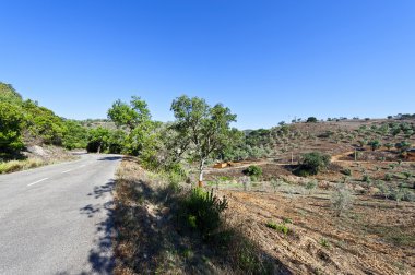 Tepeler arasındaki asfalt yol