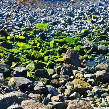 Taşı olarak Backgraund