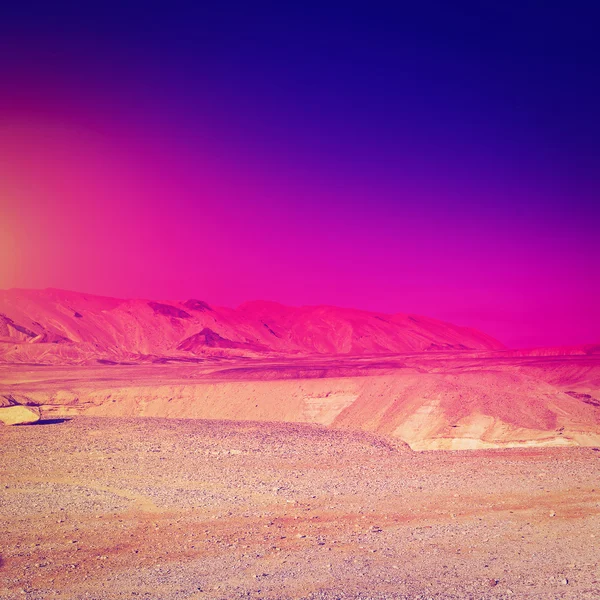 Wüste bei Sonnenuntergang — Stockfoto