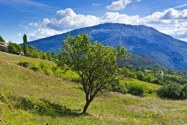 Farma vysoko ve francouzských Alpách — Stock fotografie