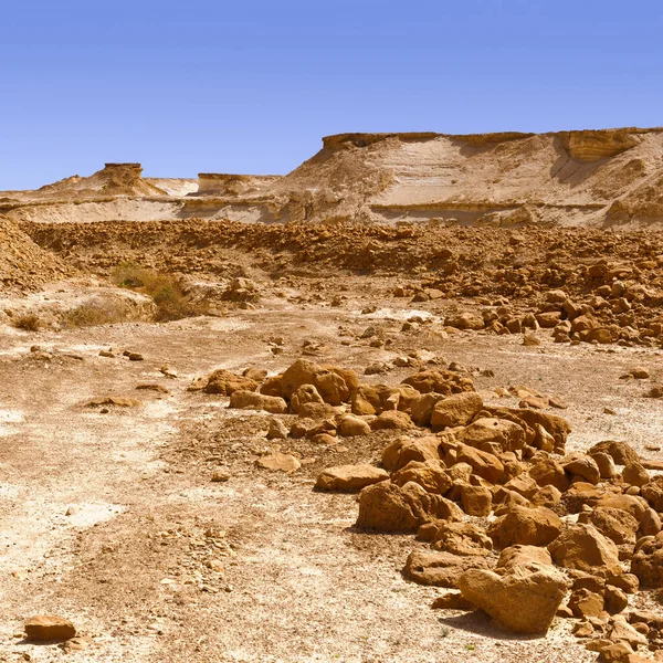 イスラエル ネゲヴ砂漠の大クレーターの大きな石 — ストック写真