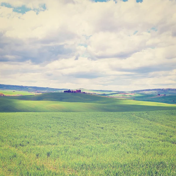 Farmhouse Green Sloping Meadows Tuscany Instagram Effect — Stock Photo, Image