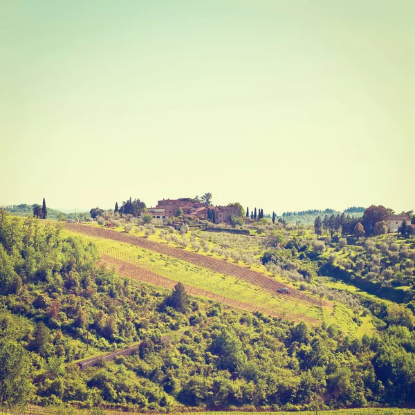 Collina Toscana Con Vigneto Nel Chianti Effetto Instagram — Foto Stock