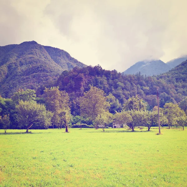 Landscape Park Podhůří Italských Alp Instagram Effect — Stock fotografie