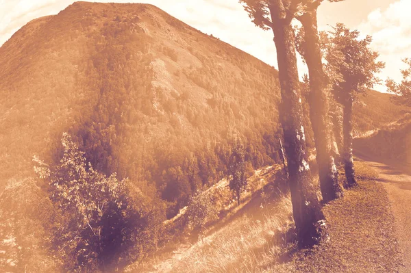 Узкая Мощеная Тропа Французских Альпах Рассвете Современном Стиле Пустынная Территория — стоковое фото