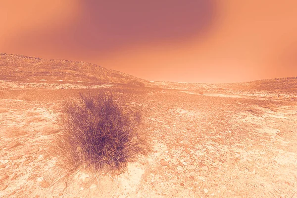 Lélegzetelállító Táj Izraeli Sivatag Sziklaformációiról Hajnalban Kortárs Stílusban Élettelen Elhagyatott — Stock Fotó