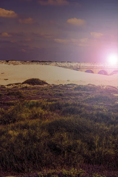 Ancient Roman Aqueduct Mediterranean Coast Israel Sand Dunes Dawn Contemporary — Stock Photo, Image