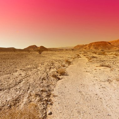 İsrail 'deki Negev Çölü' nün kayalık tepelerinin öfkeli renkleri. Gün batımında Ortadoğu 'nun nefes kesici manzarası ve doğası