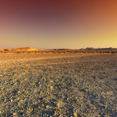 İsrail 'deki Negev Çölü' nün renkli kayalık tepeleri. Gün batımında Ortadoğu 'nun nefes kesici manzarası ve doğası