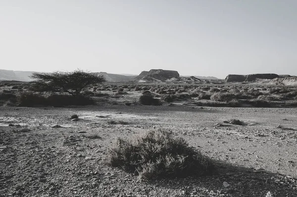 Dramatische Scène Zwart Wit Van Rotsachtige Heuvels Van Negev Woestijn — Stockfoto