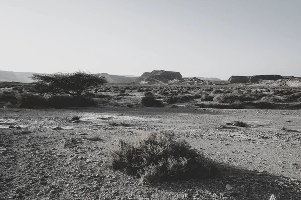 Srail Deki Negev Çölü Nün Kayalık Tepelerinde Siyah Beyaz Dramatik — Stok fotoğraf