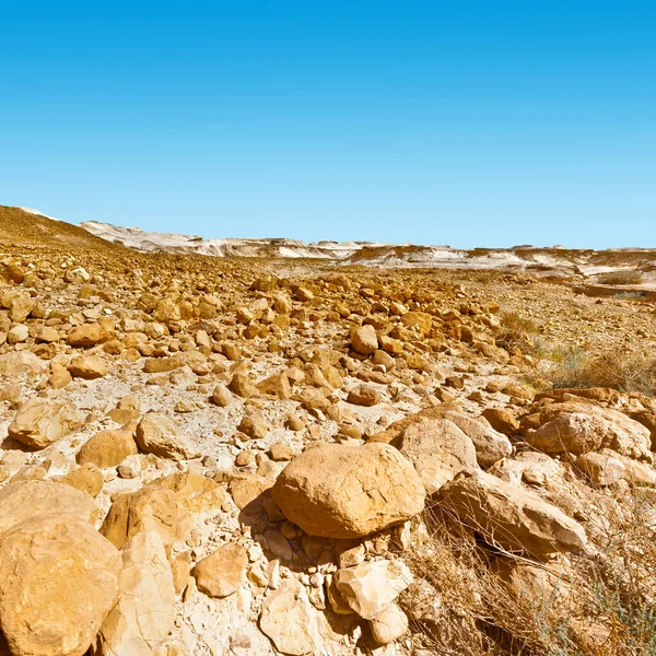 Klippiga Kullar Negevöknen Israel Häpnadsväckande Landskap Ökenklippformationer Södra Israel Öknen — Stockfoto