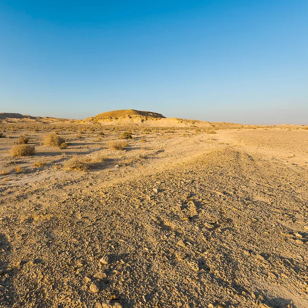 イスラエルのネゲヴ砂漠のロッキー山脈の丘の無限の荒廃 中東の息をのむような風景と自然 — ストック写真