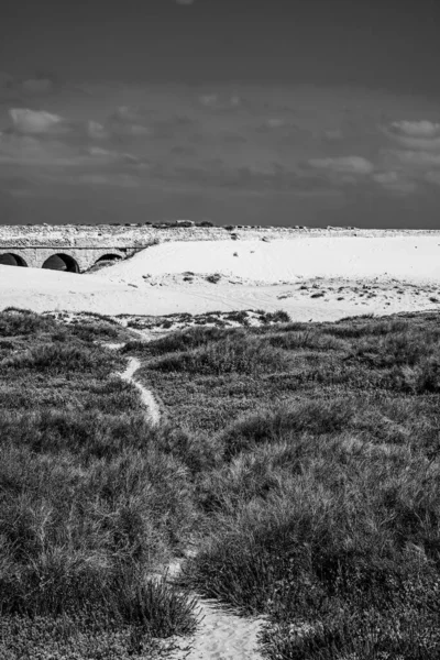 Ancient Roman Aqueduct Mediterranean Coast Israel Sand Dunes Black White — Stock fotografie