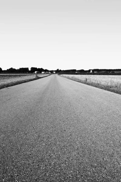 Buğday Tarlaları Arasında Düz Asfalt Yol Bavyera Siyah Beyaz Bir — Stok fotoğraf