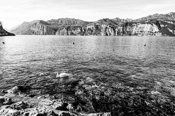 Verlassenes Ufer Des Gardasees Italien Ohne Tourismus Schwarz Weiß — Stockfoto