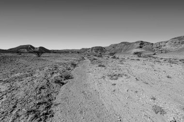 İsrail çölünde siyah beyaz kaya oluşumlarının nefes kesici manzarası. Yalnızlık, umutsuzluk ve depresyon kavramı olarak cansız ve ıssız bir sahne..