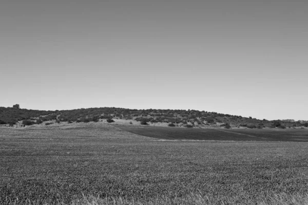 Vastes Champs Dans Une Région Vallonnée Israël Noir Blanc — Photo