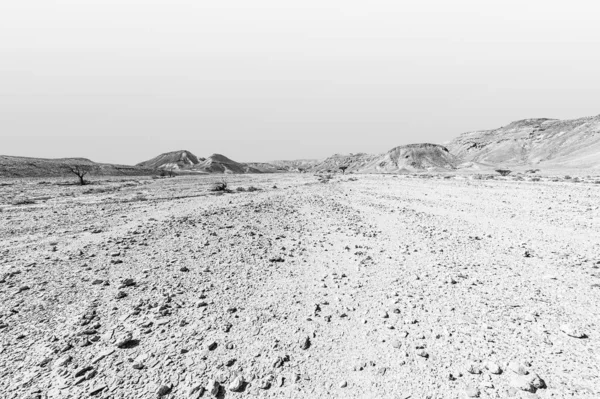 Impresionante Paisaje Las Formaciones Rocosas Desierto Israel Blanco Negro Escena — Foto de Stock
