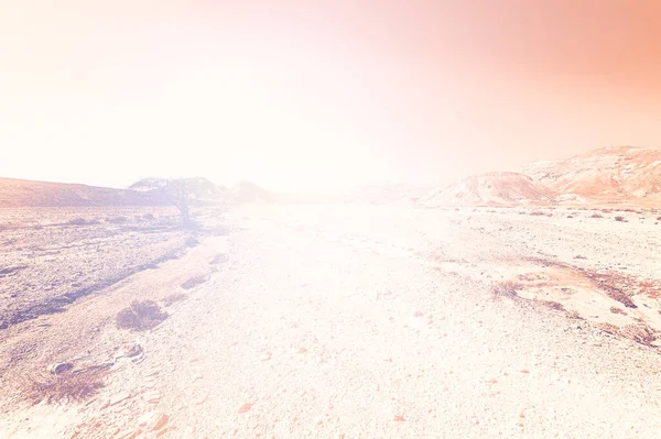 Paesaggio Mozzafiato Delle Formazioni Rocciose Nel Deserto Israele All Alba — Foto Stock