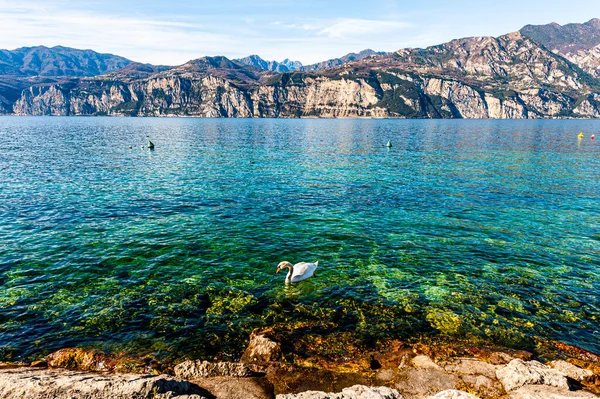 観光の不在でイタリアのガルダ湖の無人島の海岸 — ストック写真