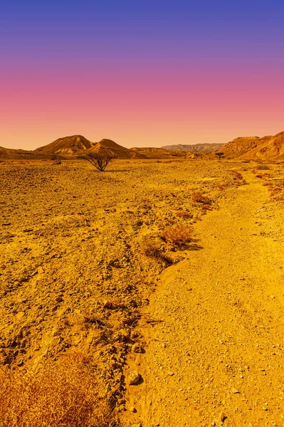 Paisagem Deslumbrante Das Formações Rochosas Deserto Israel Cena Sem Vida — Fotografia de Stock