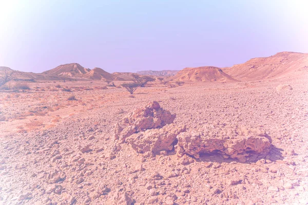 令人叹为观止的以色列沙漠岩层景观褪色效果 作为孤独 绝望和沮丧概念的无生命和凄凉景象 — 图库照片