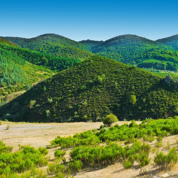 Dağlar