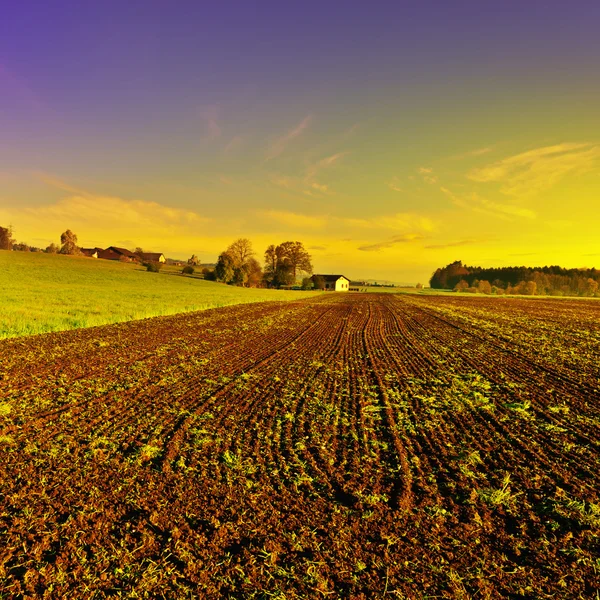 Plöjde fälten — Stockfoto