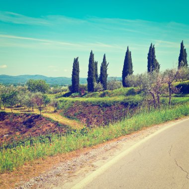Typical Tuscan landscape in Italy clipart