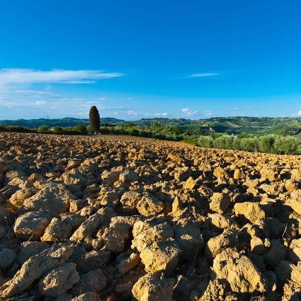 Kvällen i Toscana — Stockfoto