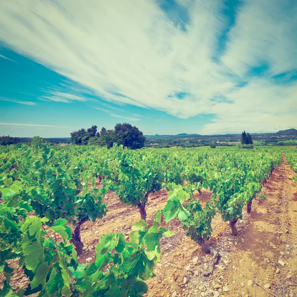 France — Stock Photo, Image