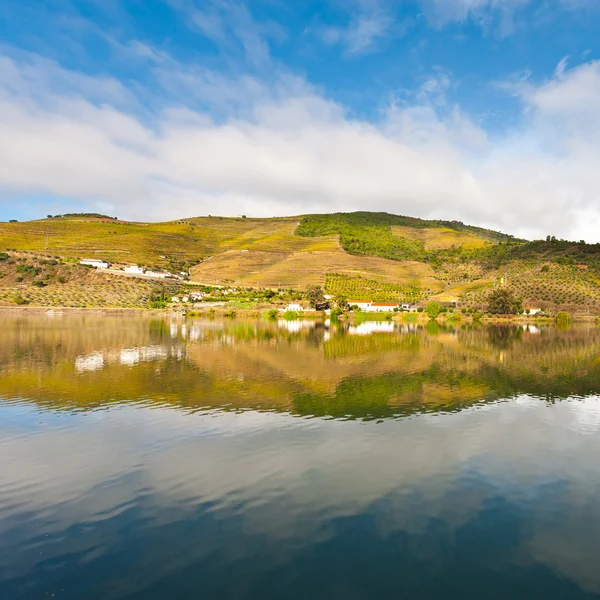 Rivière Douro — Photo