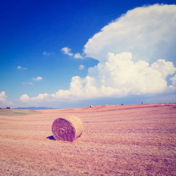 Saman balya — Stok fotoğraf