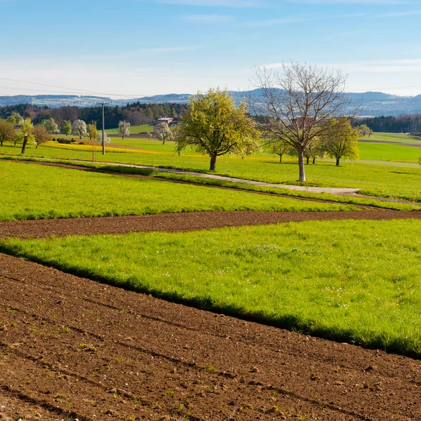 Geploegd velden — Stockfoto