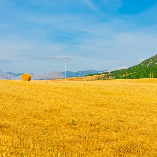 Hooibalen — Stockfoto