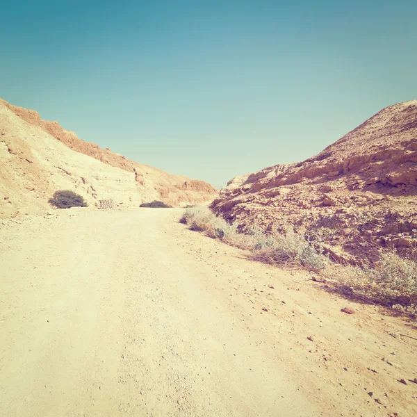 Camino en el desierto — Foto de Stock