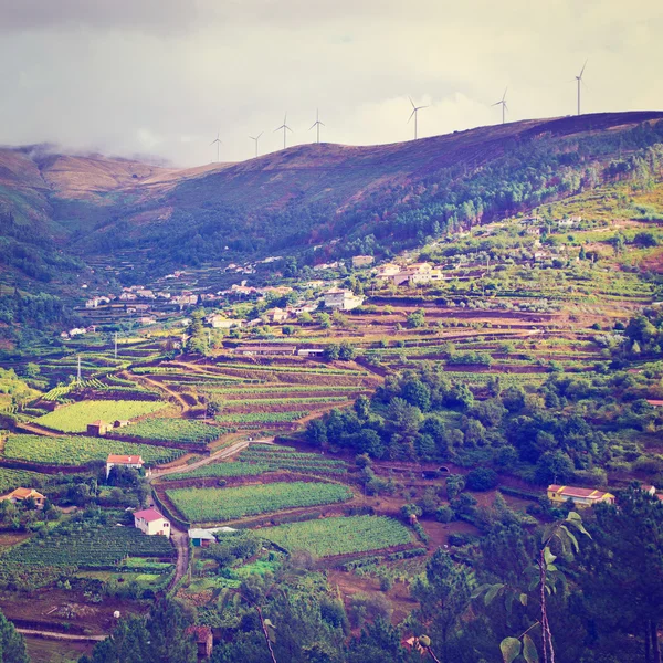 Hills of Portugal — Stock Photo, Image