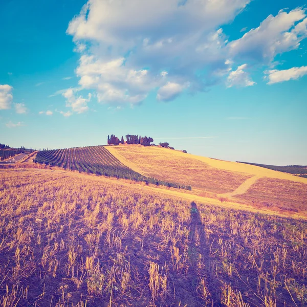 Typical Tuscan landscape in Italy — Stock Photo, Image