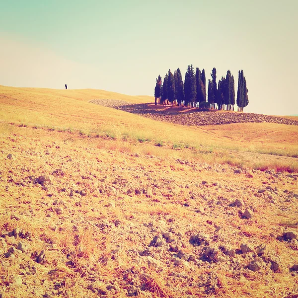 Типичный тосканский пейзаж в Италии — стоковое фото