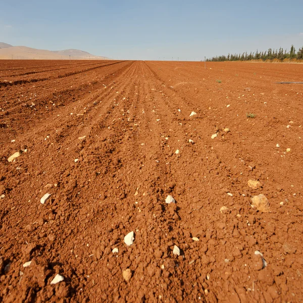 Campo — Fotografia de Stock