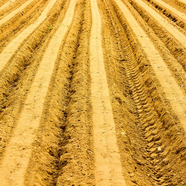 Plowed Field — Stock Photo, Image