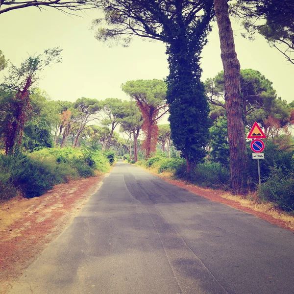 Road, Olaszország — Stock Fotó