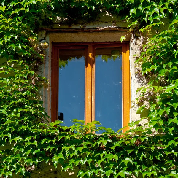 Window — Stock Photo, Image