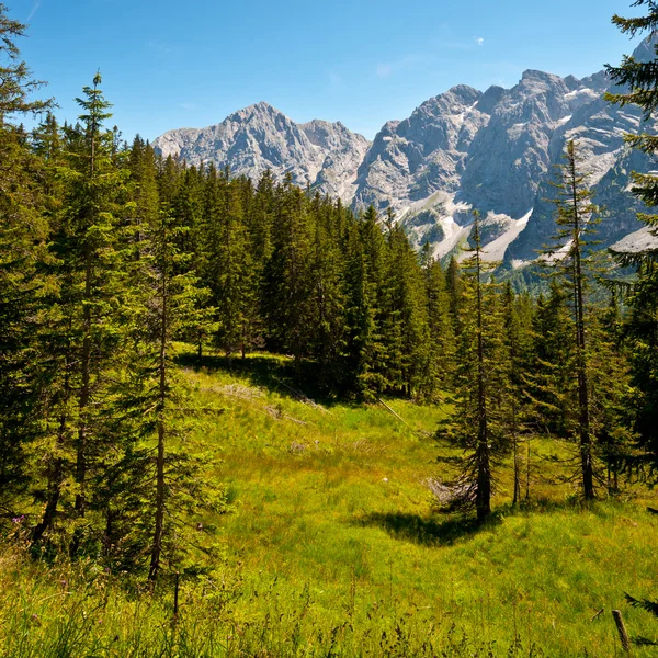 Bayerska Alperna — Stockfoto