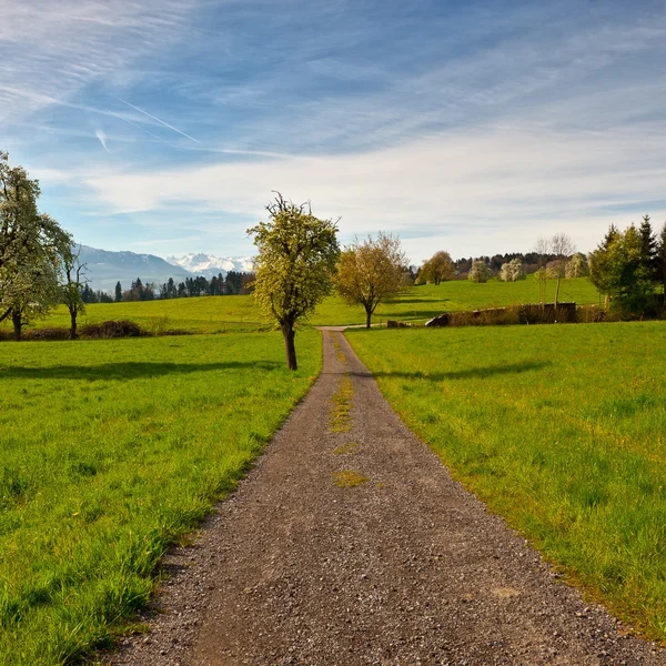 Country Road — Stock Photo, Image