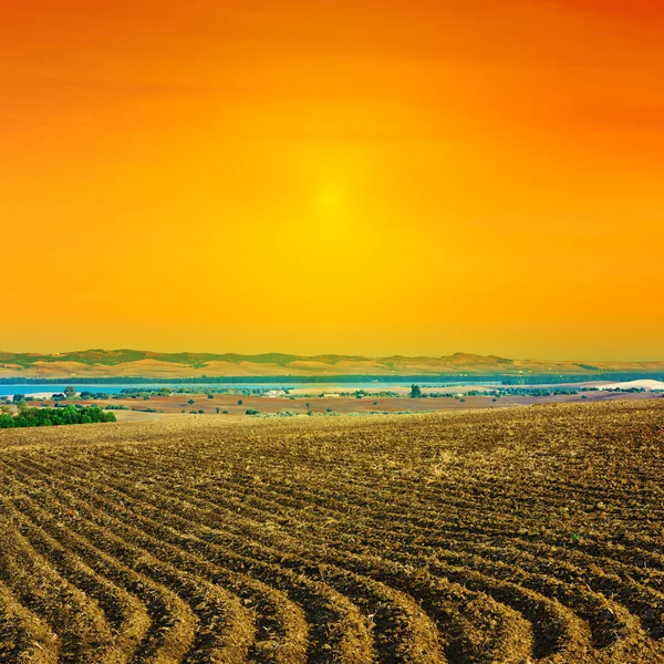 Plowed Field — Stock Photo, Image